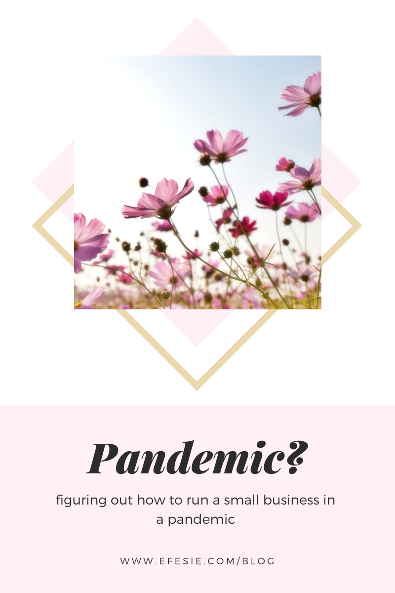 Small Business + Pandemic = ???