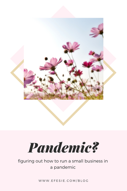 Small Business + Pandemic = ???